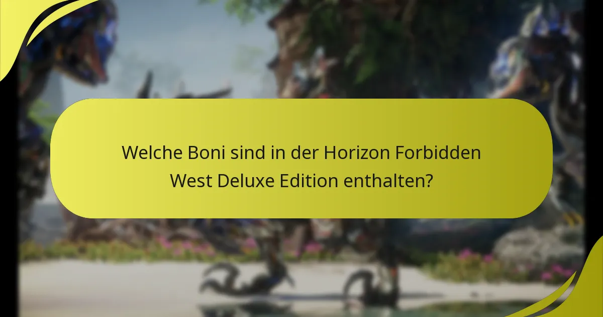 Welche häufigen Probleme haben Spieler mit der Deluxe Edition?