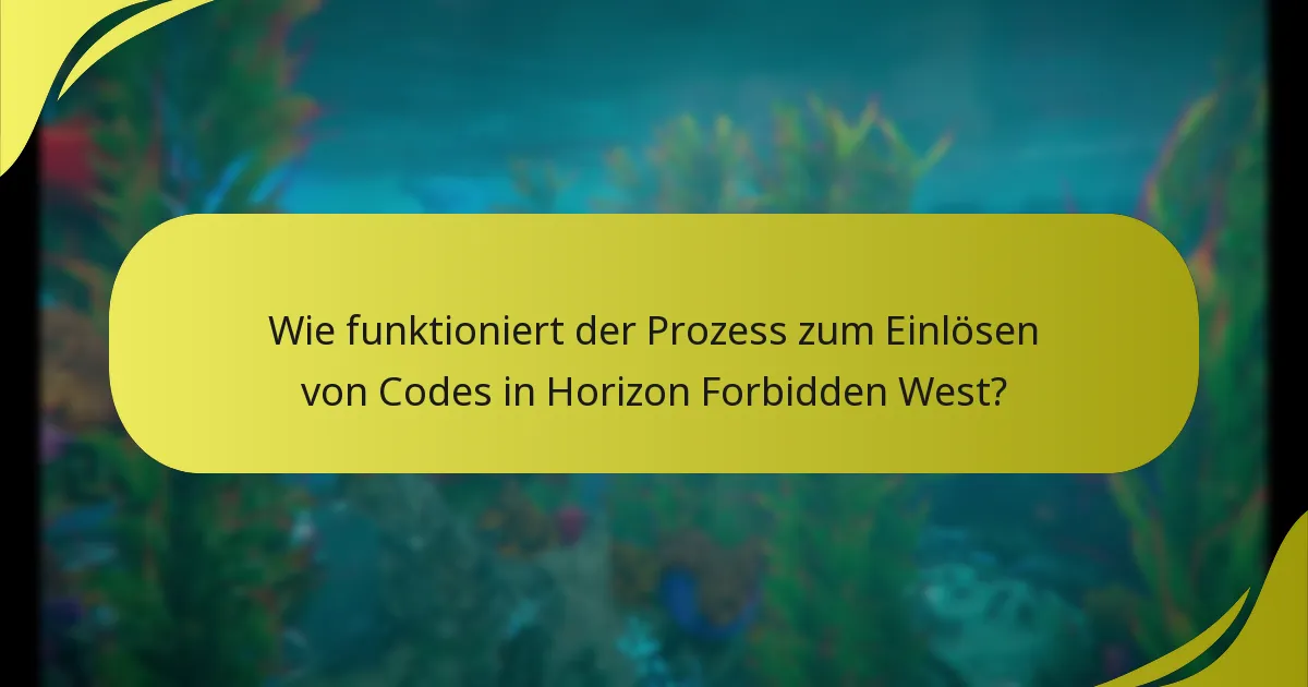 Was sind die häufigsten Probleme, die während des Einlösungsprozesses auftreten?
